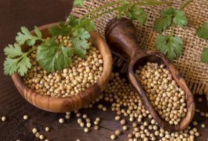 بذور الكزبرة للتخسيس-بذور التخسيس